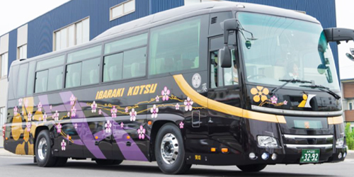 葵バスで行く福島県と『二本松の菊人形』見学と八幡屋ランチ日帰りバスツアー