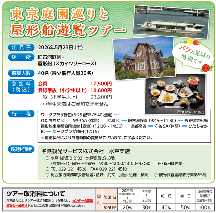 �����뉀����Ɖ��`�D�V���c�A�[