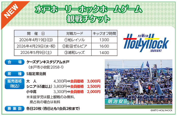 ���˃z�[���[�z�b�N�z�[���Q�[�� �ϐ�`�P�b�g